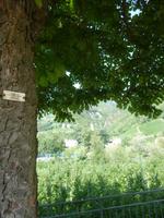 Bozen Wassermauerweg