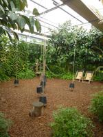 Raffeiner Orchideenwelt