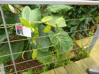 Raffeiner Orchideenwelt