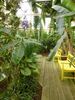 Raffeiner Orchideenwelt