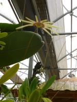 Raffeiner Orchideenwelt