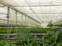 Raffeiner Orchideenwelt