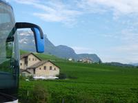 Südtiroler Weinstrasse Überetsch