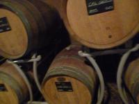 Südtiroler Weinstrasse Brigl-Führung