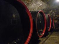 Südtiroler Weinstrasse Brigl-Führung