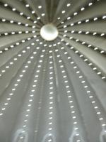 Trauttmansdorf Gärten Künstlerpavillion Sukkulenten