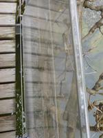 Trauttmansdorf Gärten Brücke