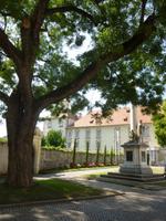 Brixen Milleniumssäule