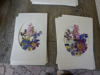 Kastelruth Pflanzenbilder