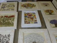 Kastelruth Pflanzenbilder