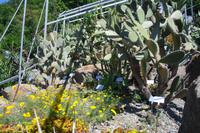 Gärten von Schloss Trauttmansdorff