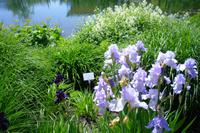 Gärten von Schloss Trauttmansdorff