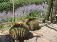 Schloss Trauttmansdorff