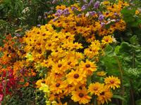 Schloss Trauttmansdorff