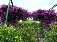 Schloss Trauttmansdorff