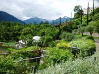 Gärten Schloss Trauttmansdorff, 25.06.2013