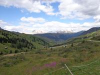 Herrliche Natur der Dolomiten