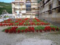 Der Friedhof an der Klosterkirche