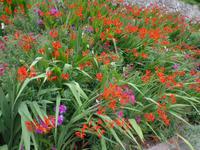 Sommergarten im Schloss Trautmannsdorf