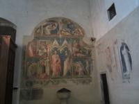 Stadtführung in Arezzo- S.Domenico