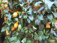 Portovenere mit Stepanka