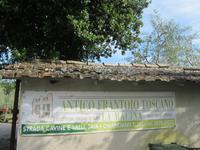 Chianciano Terme, Mühle