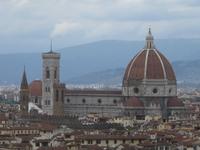 IMG_6782