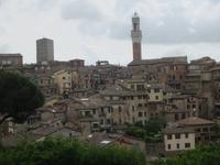 IMG_6792