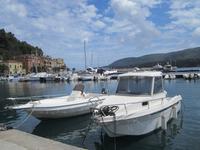 IMG_6848