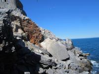 IMG_6880