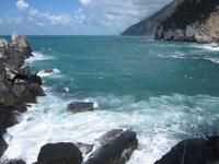 Portovener