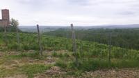  Agriturismo 