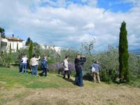 Empoli Bauernhof (2)