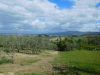 Empoli Bauernhof (3)