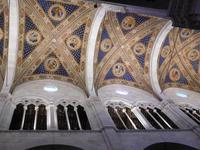 Lucca San Martino (11)