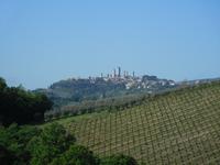 San Andrea Safranfarm (1)