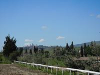 San Andrea Safranfarm (8)