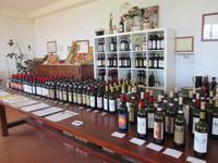Weinprobe nahe Empoli