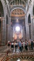 Siena (Dom - Cattedrale di Santa Maria Assunta)