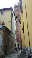 Lucca (Altstadt - Torre Guinigi)