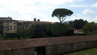Lucca (Blick von der Stadtmauer)