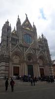 Siena (Dom)