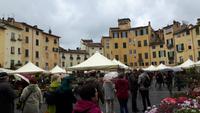 Lucca (Altstadt - Piazza dell'Anfiteatro)