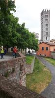 Lucca (unterwegs auf der Stadtmauer ...)