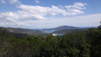 Insel Elba (Lacona)