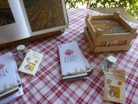 Safran-Agriturismo bei San Gimignano