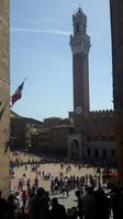 Siena (Piazza del Campo)