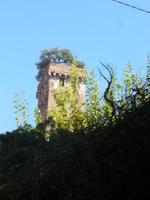 Lucca Guigniturm