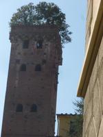 Lucca Guigniturm