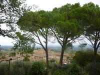 San Gimignano Blick von der Rocca